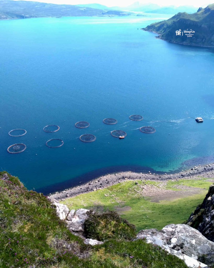 I had never seen such beautiful turquoise sea before. (Those rings are cages for salmon farming)