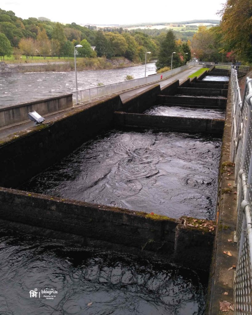 The fish ladder at Pitlochry dam. The bigger salmons (and some other fish) which cannot pass through the nets climb up the ladder and cross over to the other side of the dam. 